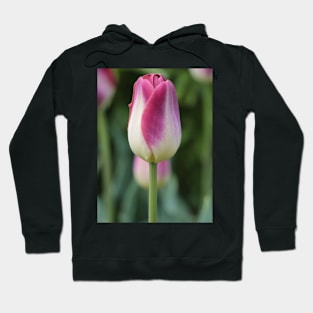 Looking for You Hoodie